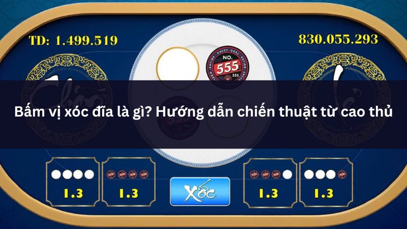 bam vi xoc dia humb